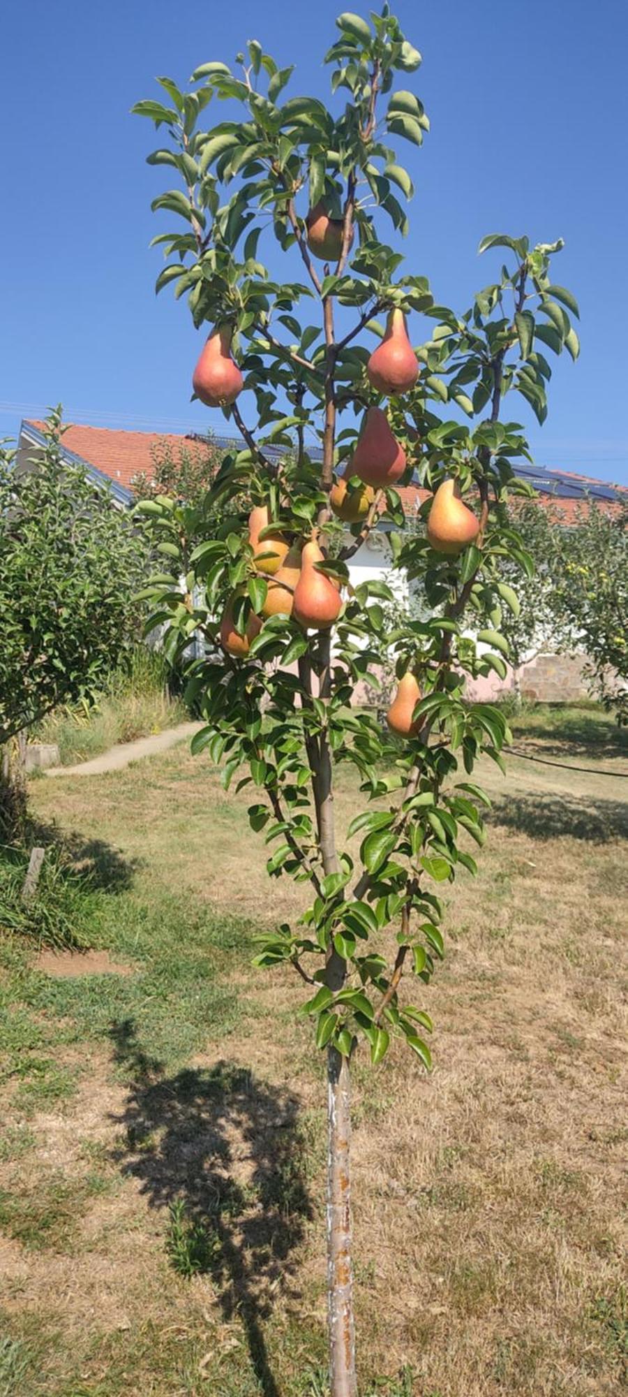 Hotel Cider&Squash, Grncarska 8, Prnjavor Batocina Dış mekan fotoğraf