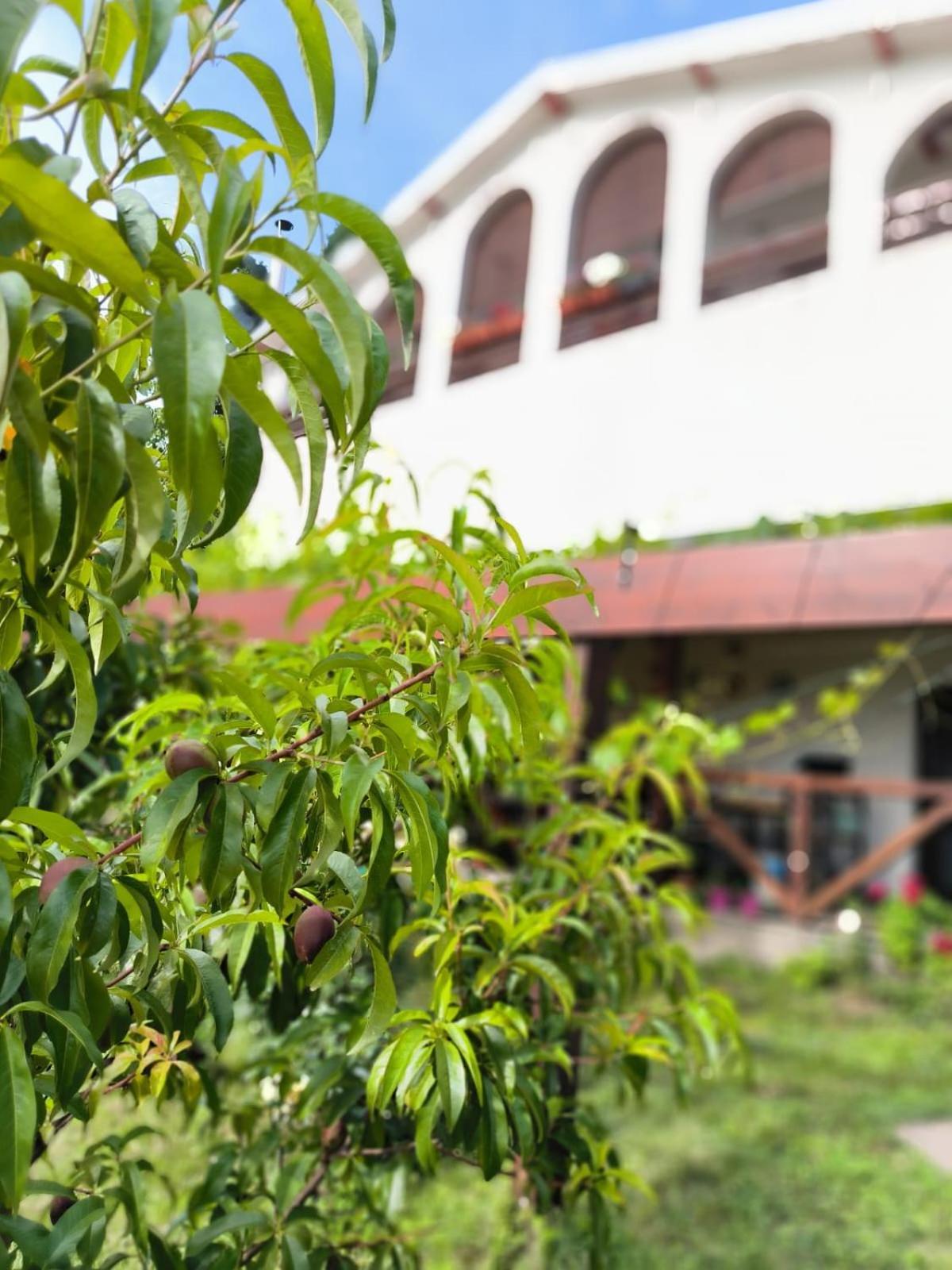 Hotel Cider&Squash, Grncarska 8, Prnjavor Batocina Dış mekan fotoğraf